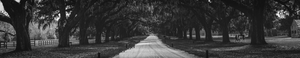EnviraGallery-headerpic-20. Dezember 2022 - header- 03.jpg