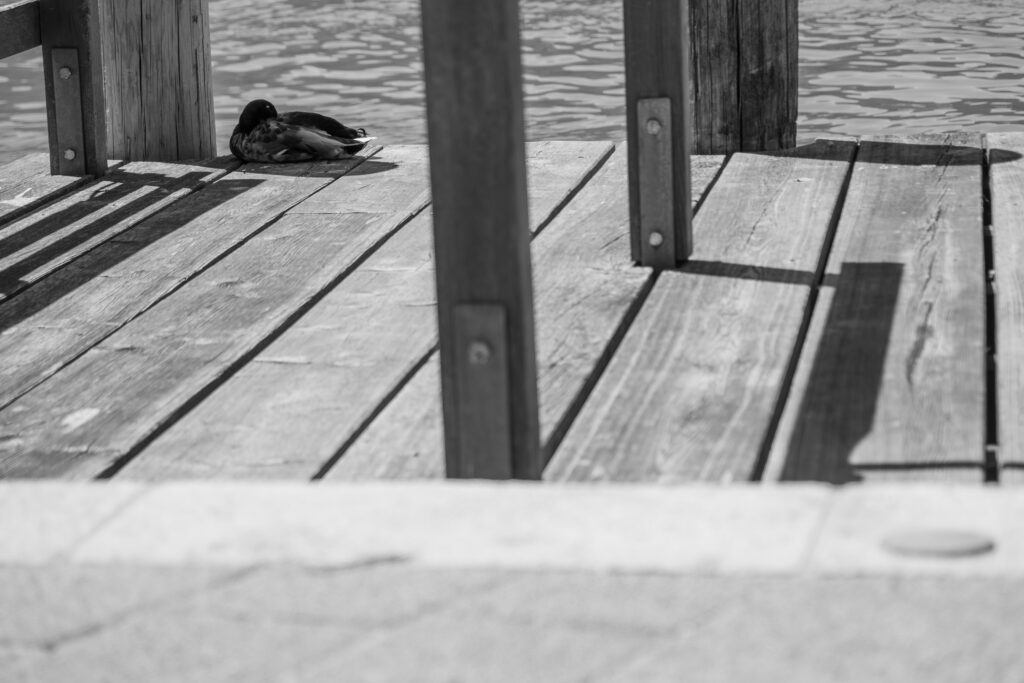 EnviraGallery-photography-06. Juli 2021 - _IRN0778-Verbessert-RR- 07.jpg