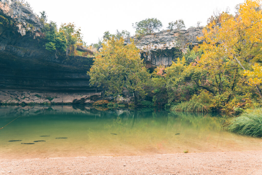 EnviraGallery-photography-14. September 2023 - A6_00286-Verbessert-RR- 04.jpg