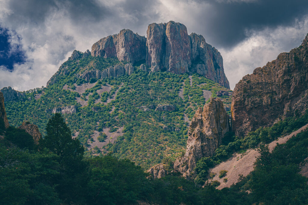 EnviraGallery-photography-17. September 2023 - A6_00798-Verbessert-RR- 13.jpg