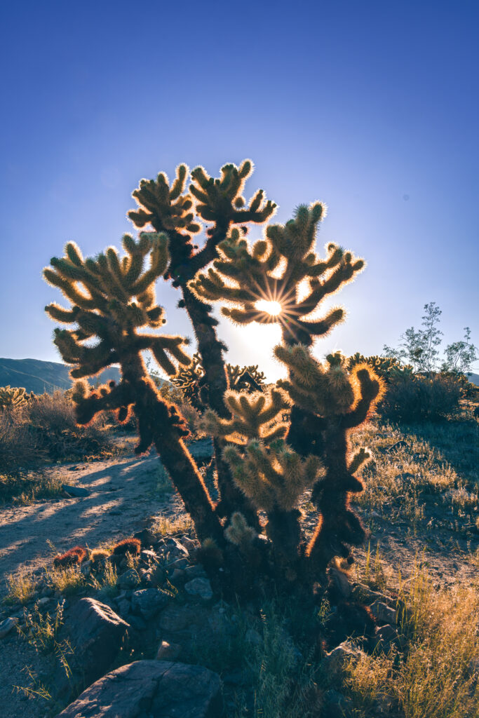 EnviraGallery-photography-26. September 2023 - A6_01119-Verbessert-RR- 44.jpg