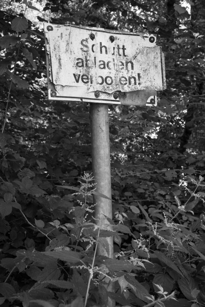 EnviraGallery-photography-31. Juli 2021 - IRN01739-Verbessert-RR- 09.jpg