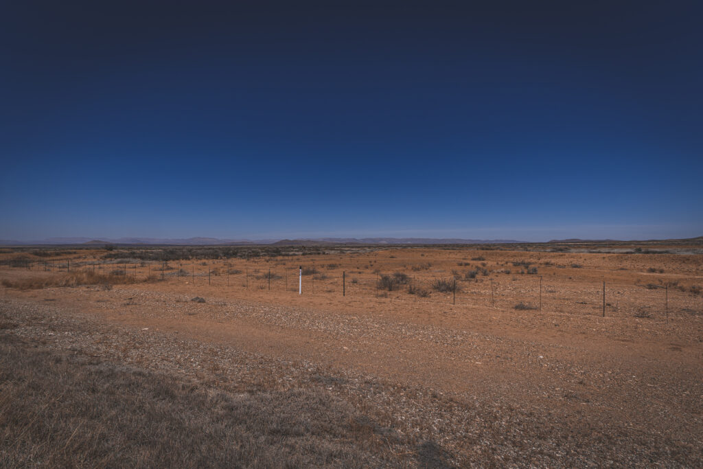 EnviraGallery-usatrip2022-01. April 2022 - IRN05581-Verbessert-RR- 01.jpg
