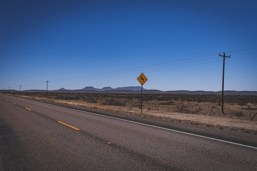 EnviraGallery-usatrip2022-01. April 2022 - IRN05582-Verbessert-RR- 02.jpg