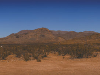 EnviraGallery-usatrip2022-01. April 2022 - IRN05667-Pano- 01.jpg