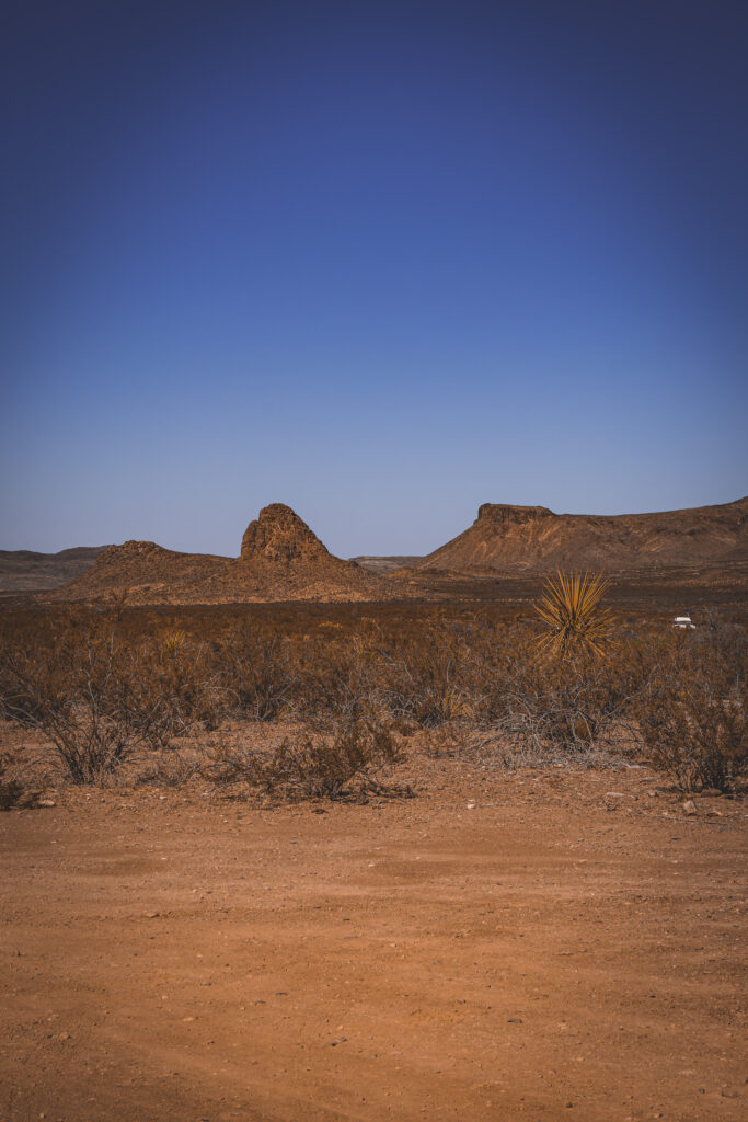 EnviraGallery-usatrip2022-01. April 2022 - IRN05669-Verbessert-RR- 12.jpg