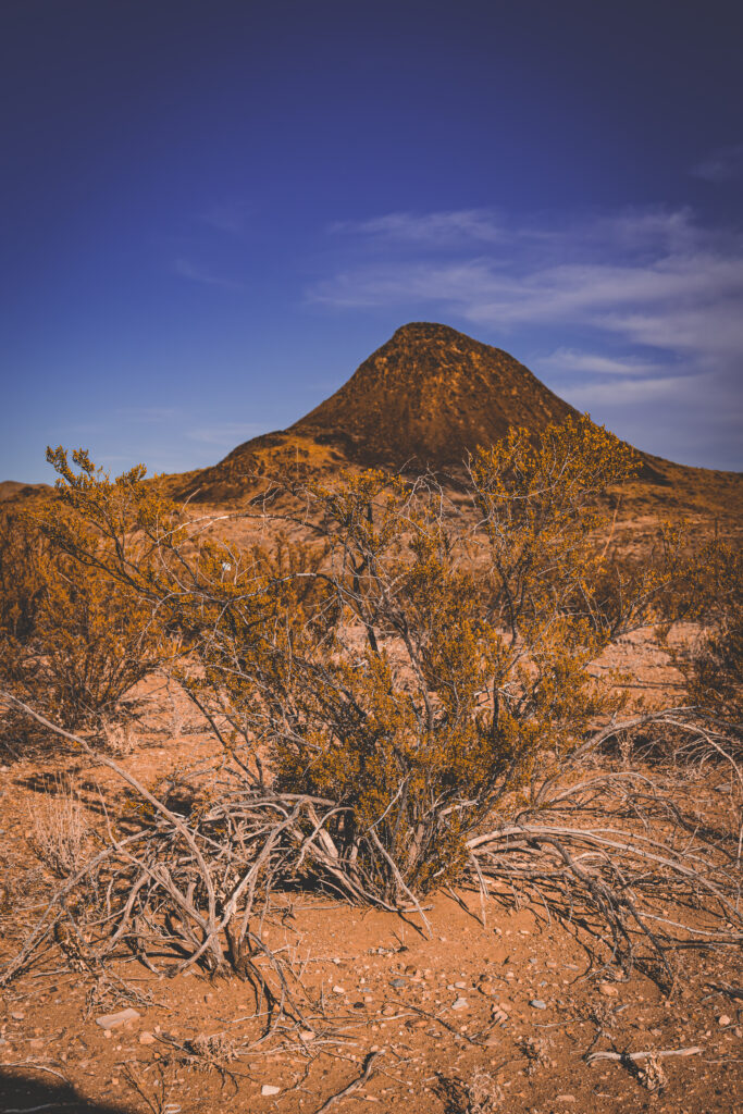 EnviraGallery-usatrip2022-01. April 2022 - IRN05690-Verbessert-RR- 09.jpg
