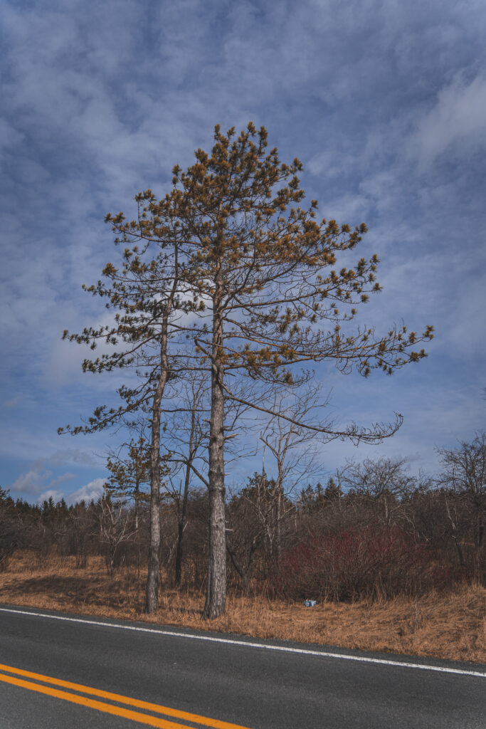 EnviraGallery-usatrip2022-03. März 2022 - IRN04072- 21.jpg