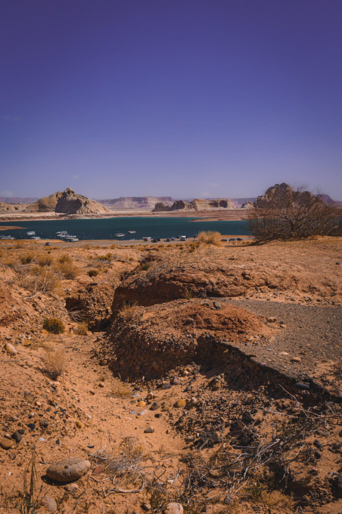 EnviraGallery-usatrip2022-05. April 2022 - IRN05963- 04.jpg