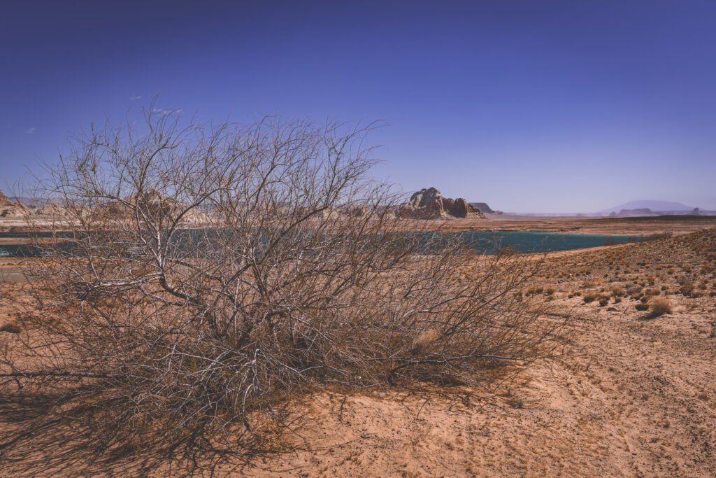 EnviraGallery-usatrip2022-05. April 2022 - IRN05966-Verbessert-RR- 05.jpg