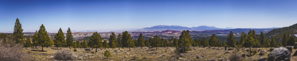 EnviraGallery-usatrip2022-07. April 2022 - IRN06120-Pano- 23.jpg