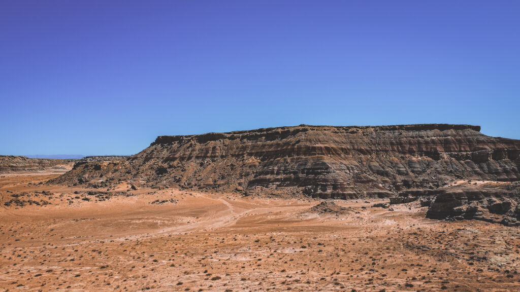 EnviraGallery-usatrip2022-08. April 2022 - DJI_0118-1- 07.jpg