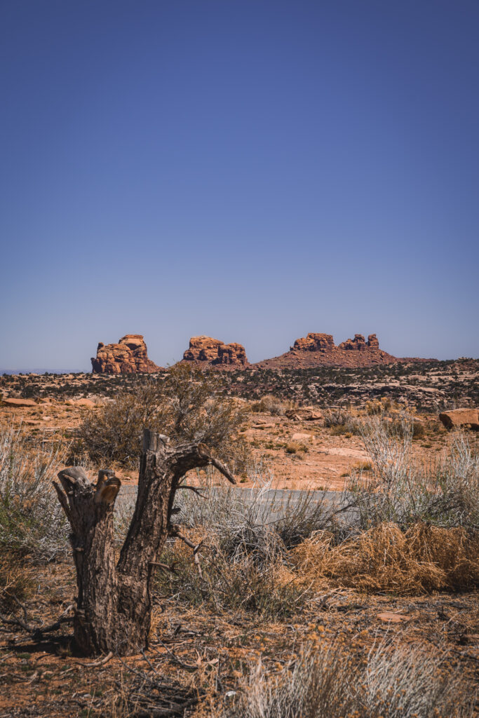 EnviraGallery-usatrip2022-08. April 2022 - IRN06198-Verbessert-RR- 19.jpg