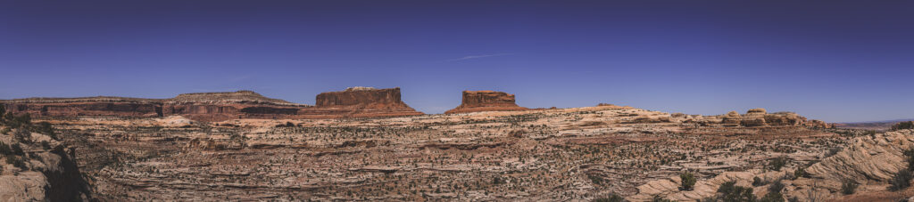 EnviraGallery-usatrip2022-08. April 2022 - IRN06207-Pano- 05.jpg
