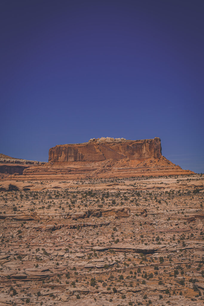 EnviraGallery-usatrip2022-08. April 2022 - IRN06210-Verbessert-RR- 03.jpg