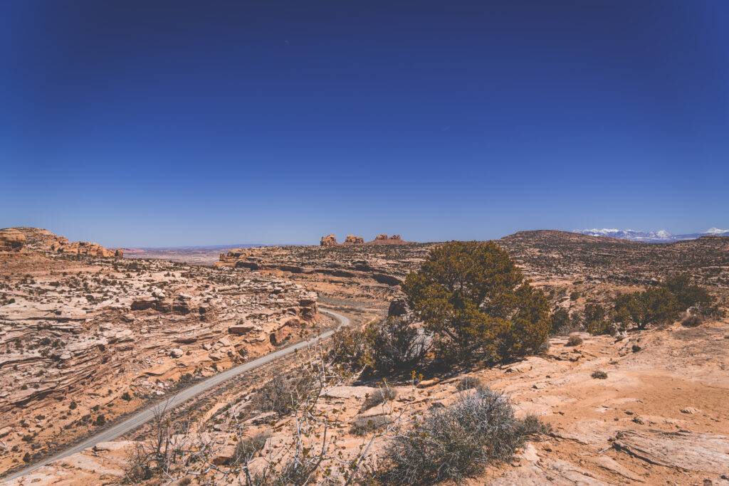 EnviraGallery-usatrip2022-08. April 2022 - IRN06219-Verbessert-RR-2- 09.jpg