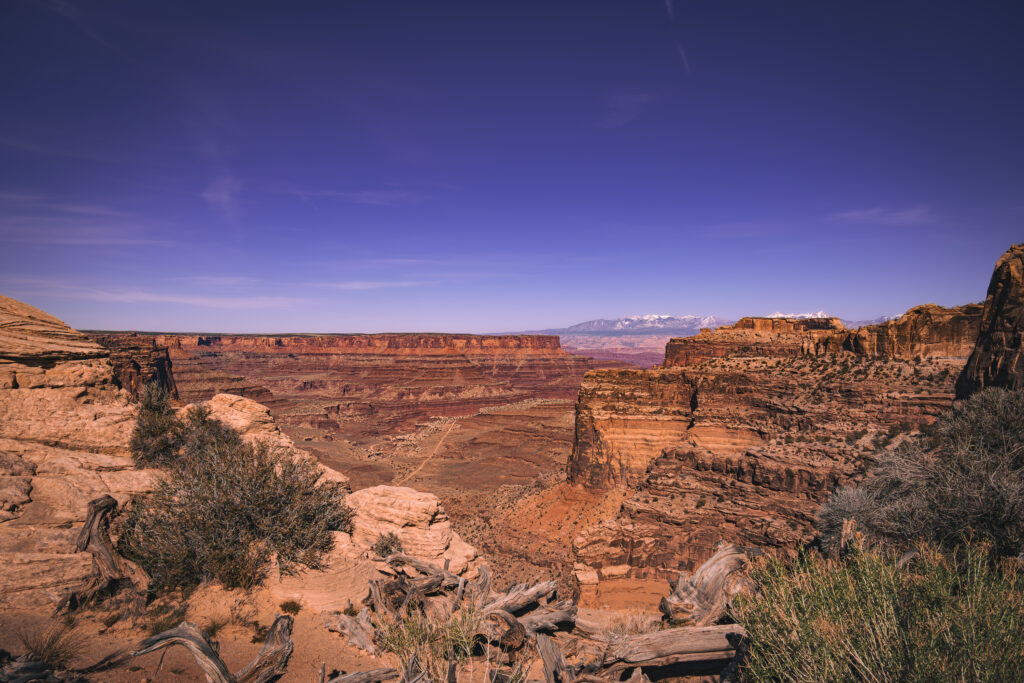 EnviraGallery-usatrip2022-08. April 2022 - IRN06271-Verbessert-RR- 31.jpg