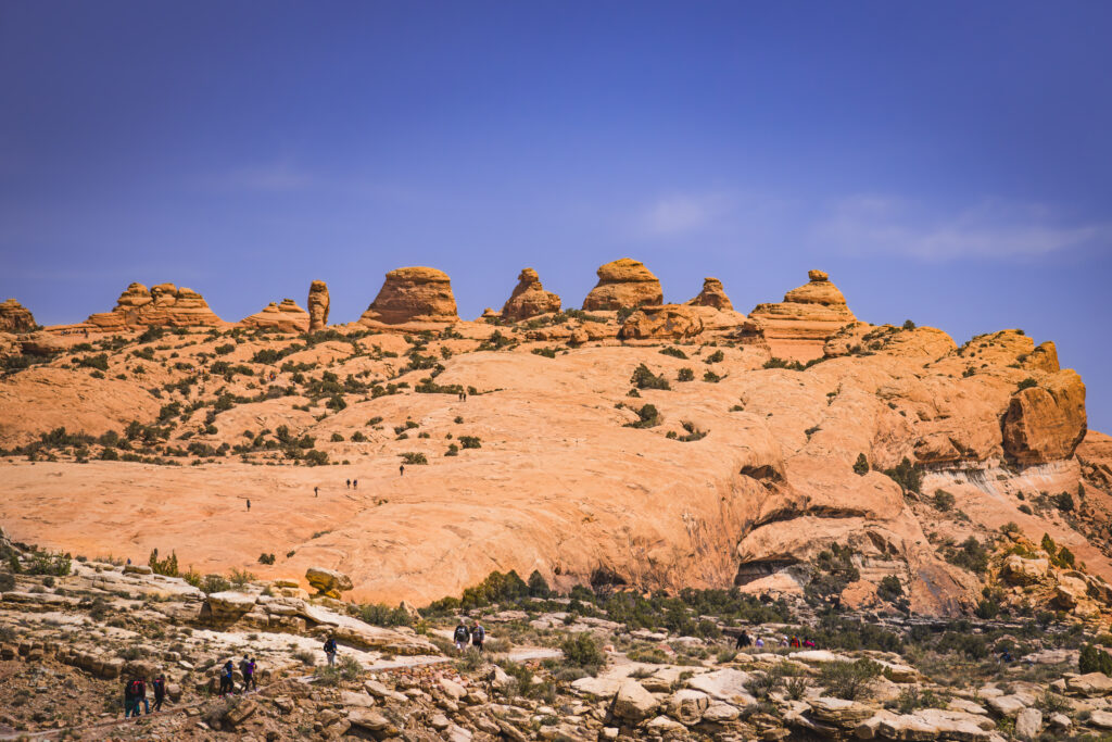 EnviraGallery-usatrip2022-10. April 2022 - IRN06318-Verbessert-RR- 02.jpg