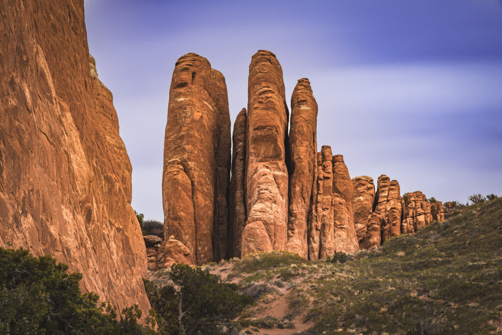 EnviraGallery-usatrip2022-10. April 2022 - IRN06439-HDR- 26.jpg