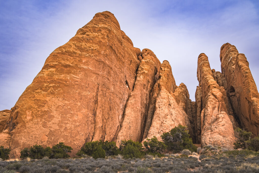 EnviraGallery-usatrip2022-10. April 2022 - IRN06447-HDR- 27.jpg