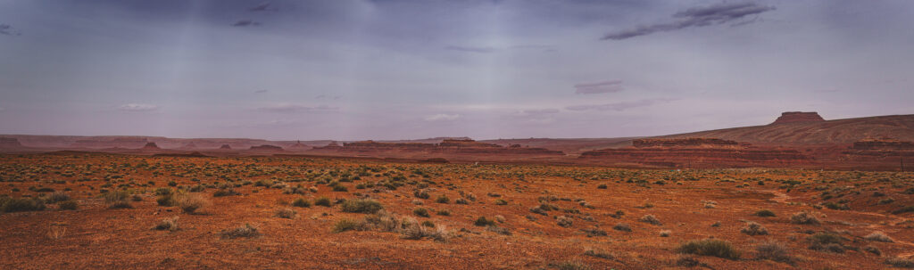 EnviraGallery-usatrip2022-11. April 2022 - IRN06521-Pano- 24.jpg