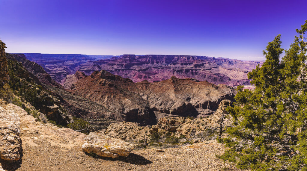 EnviraGallery-usatrip2022-12. April 2022 - IRN06583-Pano- 21.jpg