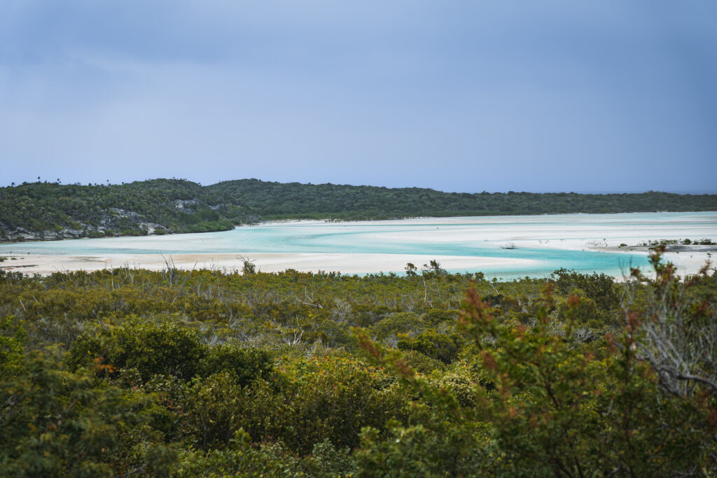 EnviraGallery-usatrip2022-13. März 2022 - IRN04672- 18.jpg