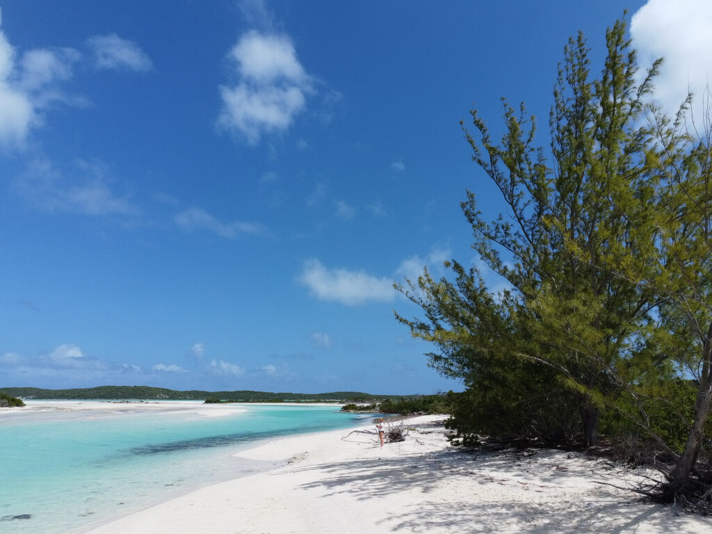 EnviraGallery-usatrip2022-15. März 2022 - DJI_0014- 10.jpg