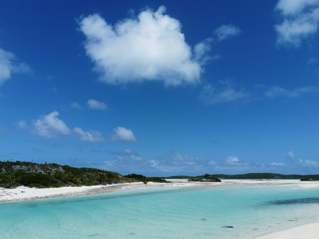 EnviraGallery-usatrip2022-15. März 2022 - DJI_0015- 11.jpg