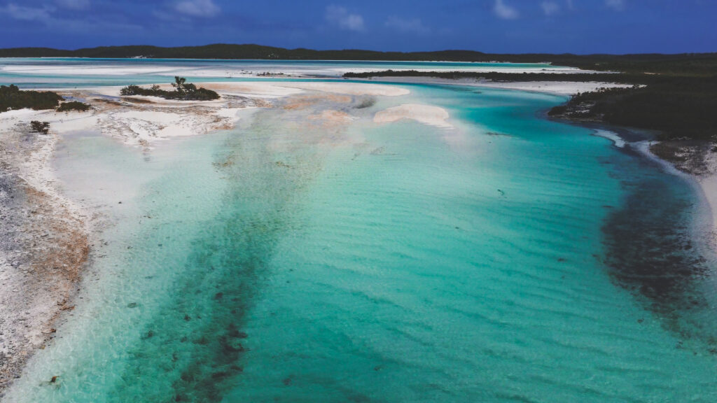 EnviraGallery-usatrip2022-15. März 2022 - DJI_0034-1- 05.jpg
