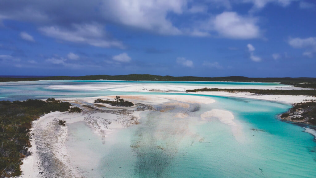 EnviraGallery-usatrip2022-15. März 2022 - DJI_0034-2- 06.jpg