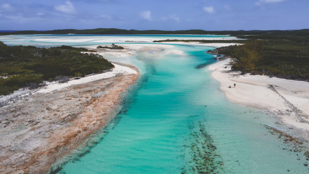 EnviraGallery-usatrip2022-15. März 2022 - DJI_0034-3- 07.jpg