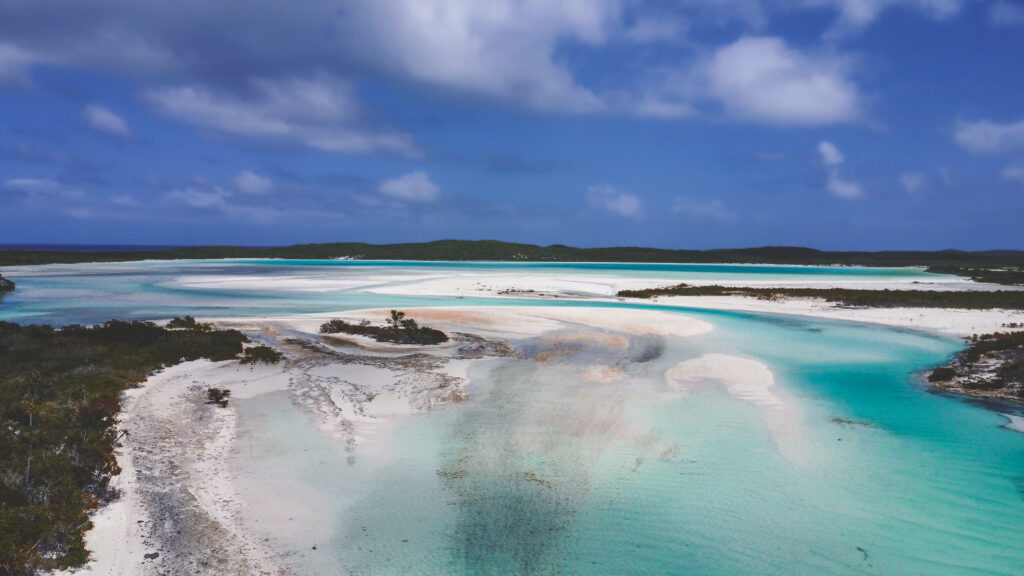 EnviraGallery-usatrip2022-15. März 2022 - DJI_0034-4- 08.jpg
