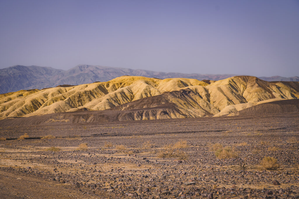 EnviraGallery-usatrip2022-16. April 2022 - IRN06765-Verbessert-RR- 12.jpg