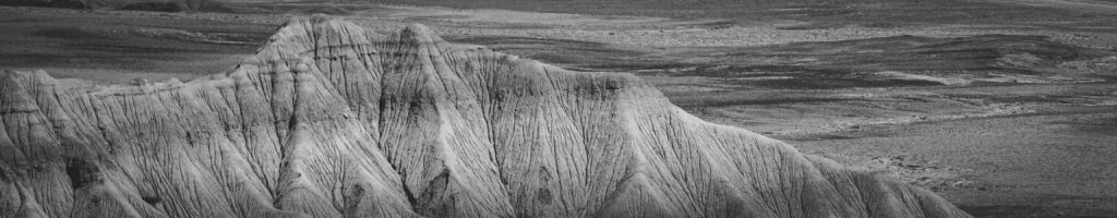 EnviraGallery-headerpic-04. April 2022 - IRN05891- 01.jpg