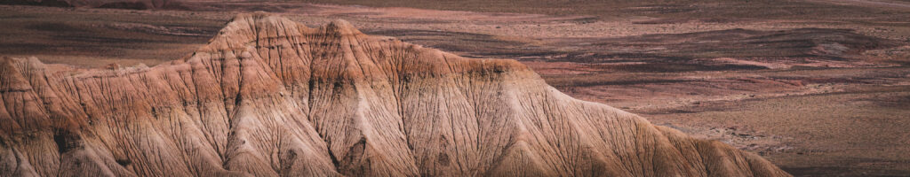 EnviraGallery-headerpic-04. April 2022 - IRN05891- 118.jpg