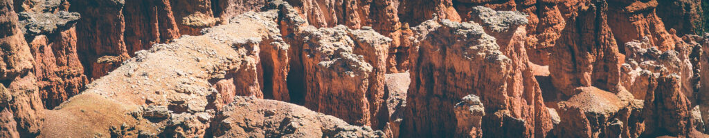EnviraGallery-headerpic-06. April 2022 - IRN06002- 131.jpg