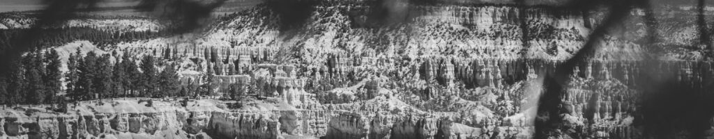 EnviraGallery-headerpic-06. April 2022 - IRN06010- 06.jpg