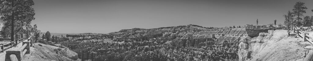 EnviraGallery-headerpic-06. April 2022 - IRN06037-Pano- 09.jpg