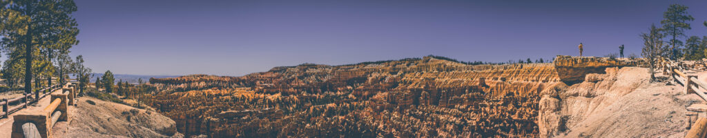 EnviraGallery-headerpic-06. April 2022 - IRN06037-Pano- 137.jpg