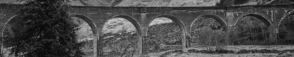 EnviraGallery-headerpic-06. April 2023 - IRN08991-Verbessert-RR- 01.jpg
