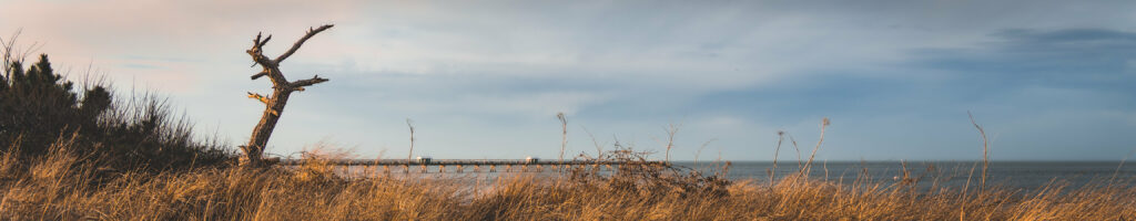 EnviraGallery-headerpic-06. März 2022 - IRN04381- 13.jpg