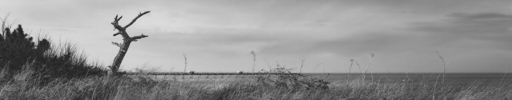 EnviraGallery-headerpic-06. März 2022 - IRN04381- 15.jpg