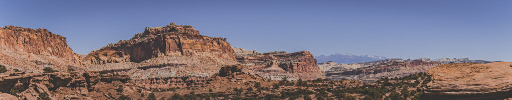EnviraGallery-headerpic-07. April 2022 - IRN06153-Pano- 142.jpg
