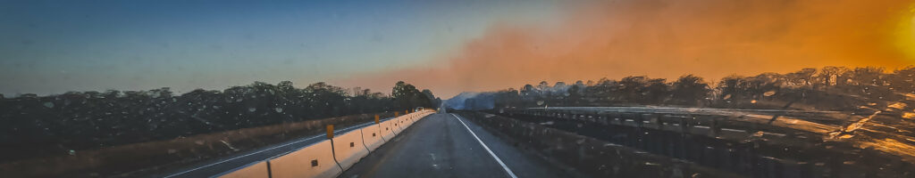 EnviraGallery-headerpic-07. März 2022 - charleston 7 - fire-1- 16.jpg