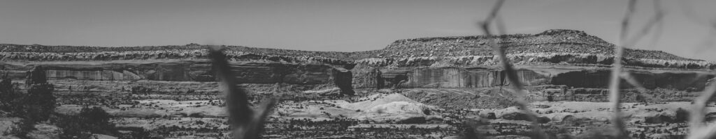 EnviraGallery-headerpic-08. April 2022 - IRN06203- 07.jpg