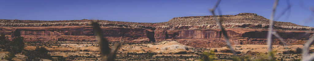 EnviraGallery-headerpic-08. April 2022 - IRN06203- 152.jpg
