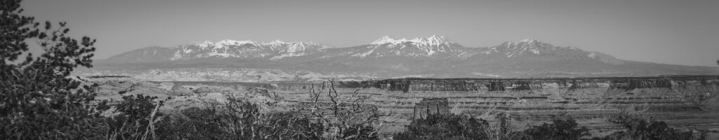 EnviraGallery-headerpic-08. April 2022 - IRN06226- 09.jpg