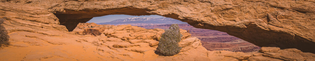 EnviraGallery-headerpic-08. April 2022 - IRN06230- 155.jpg