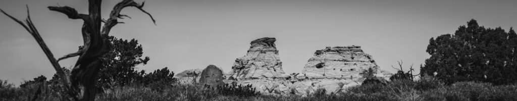 EnviraGallery-headerpic-09. April 2022 - IRN06274- 04.jpg